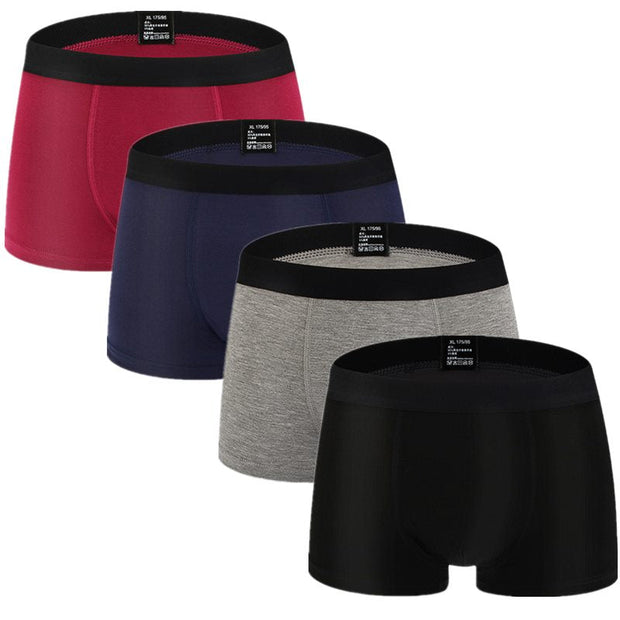 Angelo Ricci™ Short Breathable Trunk Thermal Boxers 4Pcs