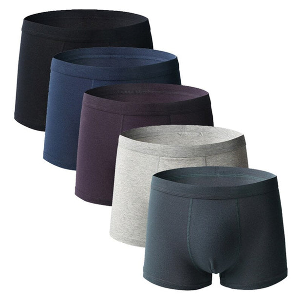 Angelo Ricci™ Comfy Breathable Cotton Men Underwear 5Pcs