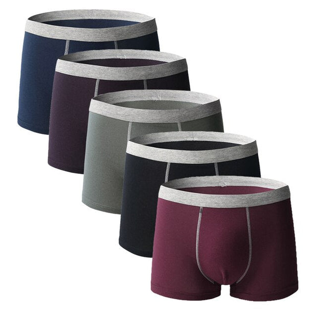 Angelo Ricci™ Comfy Breathable Cotton Men Underwear 5Pcs