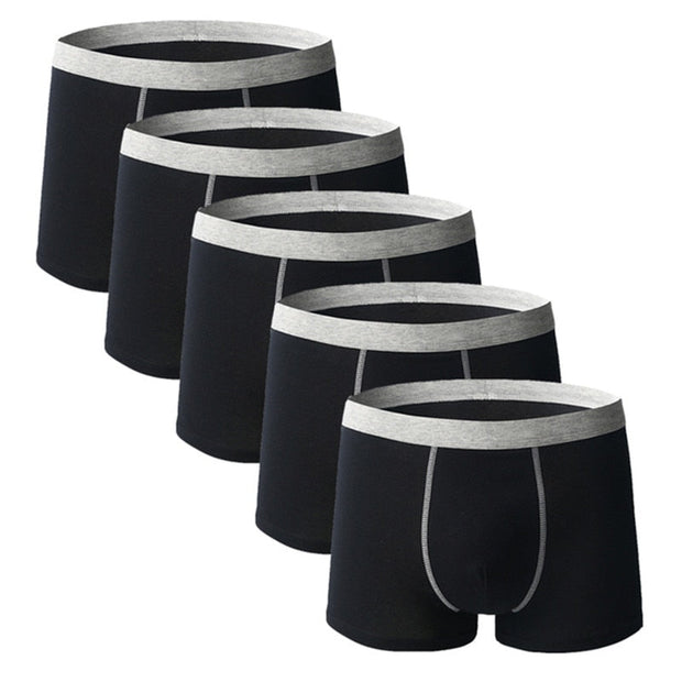 Angelo Ricci™ Comfy Breathable Cotton Men Underwear 5Pcs