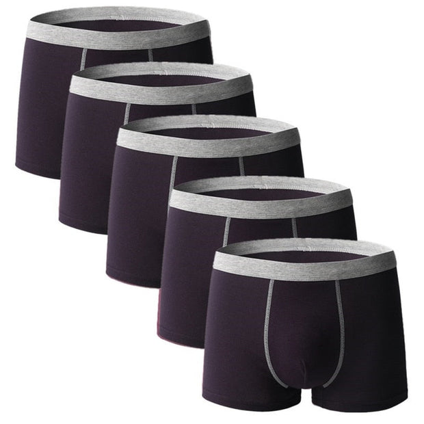 Angelo Ricci™ Comfy Breathable Cotton Men Underwear 5Pcs