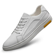 Angelo Ricci™ Casual Solid Leather Sneakers