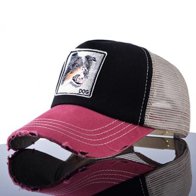 West Louis™  Hip Hop Animal Caps Dog - West Louis