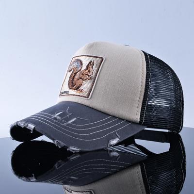 West Louis™  Hip Hop Animal Caps Squirrel 2 - West Louis