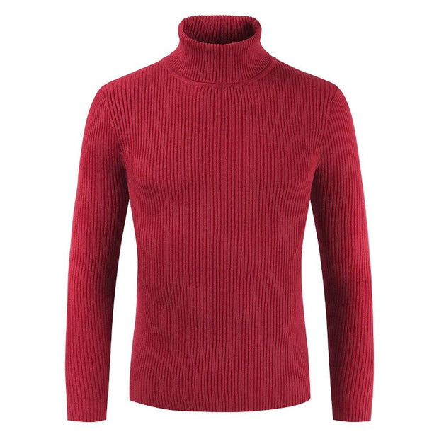 Angelo Ricci™ Turtleneck Slim Pullover