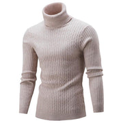 Angelo Ricci™ Turtleneck Solid Casual Sweater