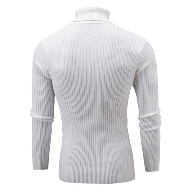 Angelo Ricci™ Turtleneck Solid Casual Sweater