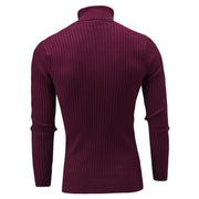 Angelo Ricci™ Turtleneck Solid Casual Sweater