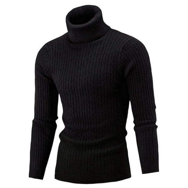 Angelo Ricci™ Turtleneck Solid Casual Sweater