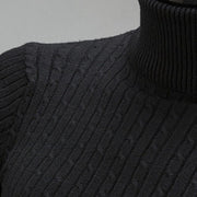 Angelo Ricci™ Turtleneck Solid Casual Sweater