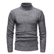 Angelo Ricci™ Knitt Hedging Turtleneck Sweater