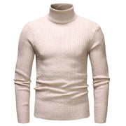 Angelo Ricci™ Knitted Turtleneck Pullover